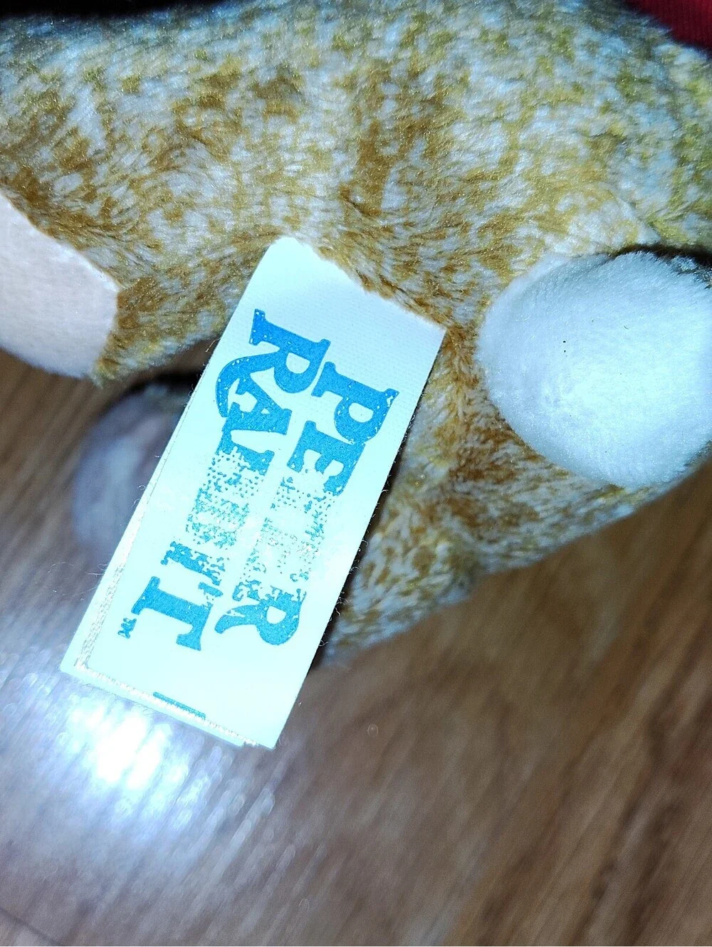 Dan Dee peter rabbit